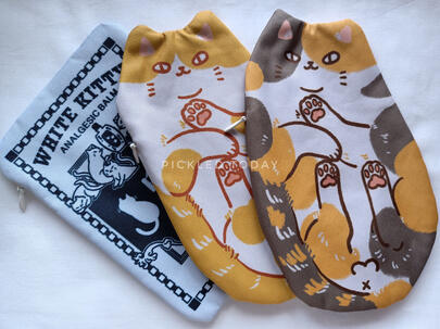 cats pouch